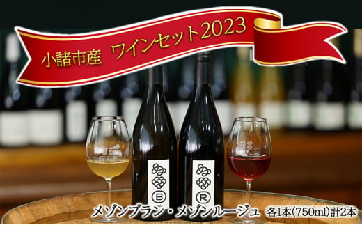 ワイン2本セット 赤ワイン 白ワイン お酒 酒 アルコール 長野県 小諸市 小諸 ギフト プレゼント [№5915-1320]