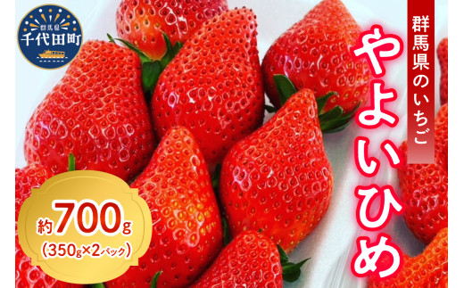 《先行予約》2月より順次発送※ いちご「 やよいひめ 」約350g×2パック 群馬県 千代田町 ＜斉藤いちご園＞