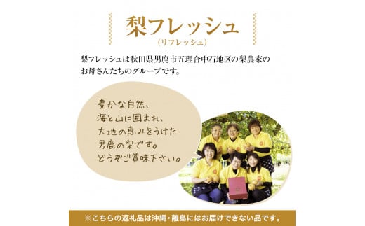 【令和7年度 早期予約】あきづき 梨 6玉（3L）