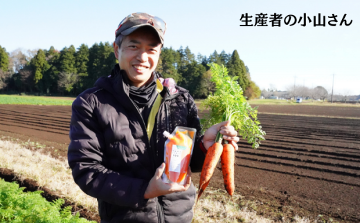 毎日飲める♪30パック【にんじん１００％】さらっと飲みやすい１００％人参ジュース 