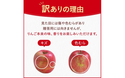 サンふじりんご　家庭用　5kg_ 林檎 リンゴ 訳あり 訳アリ わけあり 長野県 信州 くだもの 果物 フルーツ 人気 サンフジ 特産品 産地直送 キズ 中野市 常温 家庭用 規格外 新鮮 北信州 農家 完熟 【1360194】