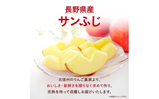 サンふじりんご　家庭用　5kg_ 林檎 リンゴ 訳あり 訳アリ わけあり 長野県 信州 くだもの 果物 フルーツ 人気 サンフジ 特産品 産地直送 キズ 中野市 常温 家庭用 規格外 新鮮 北信州 農家 完熟 【1360194】