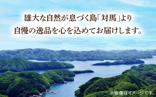 剣先 イカ 刺身 セット 2kg 《対馬市》【海風商事】長崎 九州 海鮮 天ぷら [WAD033]冷凍 刺し身 剣先いか 魚介 海産物 あかいか 小分けまるいか いか もう1品 おかず いかそうめん おつまみ 対馬 長崎