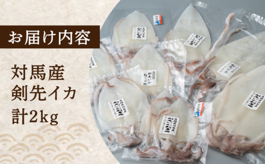 剣先 イカ 刺身 セット 2kg 《対馬市》【海風商事】長崎 九州 海鮮 天ぷら [WAD033]冷凍 刺し身 剣先いか 魚介 海産物 あかいか 小分けまるいか いか もう1品 おかず いかそうめん おつまみ 対馬 長崎