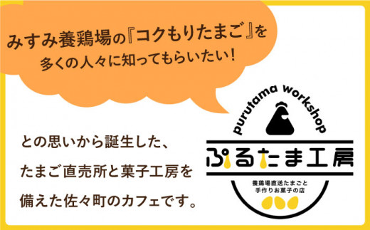 【全6回定期便】【卵が濃い！】たまごやさんのぷるプリン （濃厚仕立て） 6個入/回【ぷるたま工房】 [QBB003] プリン カスタードプリン 洋菓子 ギフト 4万4千円 44000円