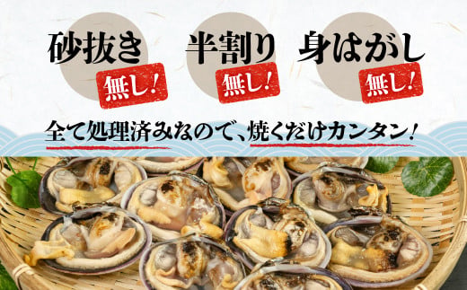 天然大アサリ 約2kg だし醤油 CAS冷凍 半割処理済 海鮮バーベキュー 特製だし醤油付き 海鮮バーベキュー BBQ 三河湾産 天然 大アサリ あさり 国産 アサリ 愛知県 田原市 新鮮 砂抜き 海鮮 魚介類 魚介 貝 冷凍 人気 23000円