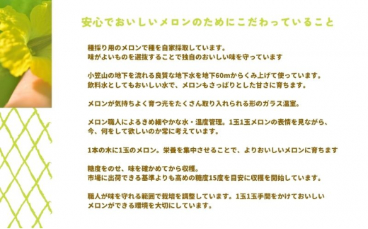 【先行予約】温室育ちのマスクメロン 冬果 特選 1玉 人気 厳選 ギフト 贈り物 デザート グルメ フルーツ 果物 袋井市