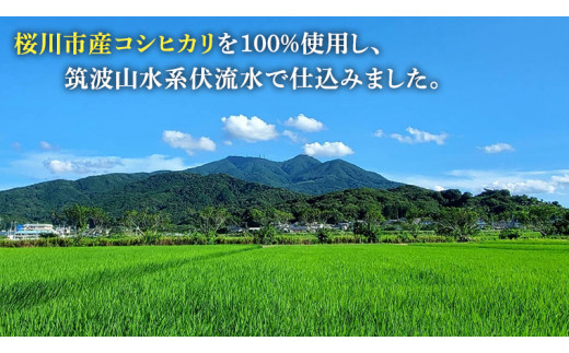 食べるあまざけ 12本ｾｯﾄ お米 米麹 甘酒 国産 麹 麴甘酒 発酵食品 ホット アイス ノンアルコール 茨城県産 飲む点滴[AD002sa]