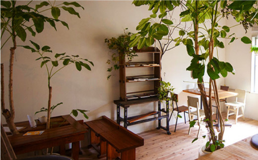 【新鮮な珈琲豆】【 全6回 定期便 】 [ COFFEE GIFT ] 店主 セレクト の おすすめ ギフト缶 を 2缶＋3種 から選べる ドリップパック 5袋 糸島市 / Petani coffee [ALC014-1]