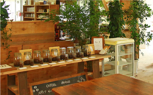 【新鮮な珈琲豆】【 全6回 定期便 】 [ COFFEE GIFT ] 店主 セレクト の おすすめ ギフト缶 を 2缶＋3種 から選べる ドリップパック 5袋 糸島市 / Petani coffee [ALC014-1]