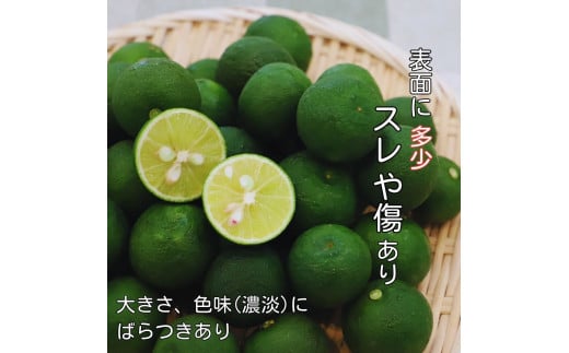 [№5852-0716]村の『訳あり』冷蔵すだち  1kg  　※10月中旬頃から発送　※離島不可　[スダチ 柑橘 佐那河内 さなごうち 徳島 とくしま 果汁 1キロ 訳あり 訳アリ 不揃い 産地直送]