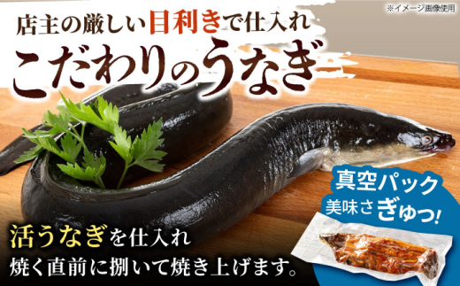 【6回定期便】 鰻蒲焼 3本セット パック 御嵩町 / 鰻 季節料理 魚邦 [AVBH015]