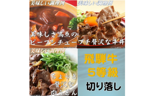 飛騨牛 5等級　切り落し　400g　養老うどん付(3人前)【1416393】