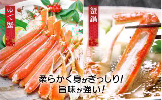 【訳あり】≪浜茹で≫ 越前がに 約300～400g × 1杯（茹で前重量）食べ方しおり付き【雄 ズワイガニ ずわいがに かに カニ 蟹 姿 ボイル 福井県】【3月発送】希望日指定可 備考欄に希望日をご記入ください [e04-x020_03]