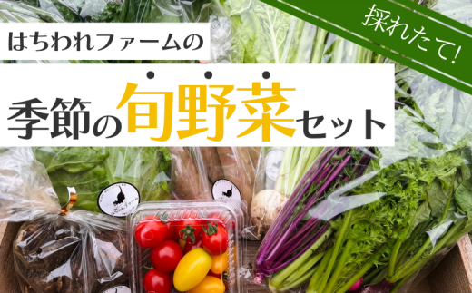 ＼ 産地直送 ／ 旬の 野菜セット （7～10品） はちわれファーム 八街 千葉 野菜 やさい 旬の野菜詰め合わせ 野菜詰め合わせ