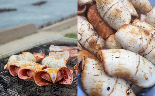 鰺ヶ沢の炭火焼きイカ5パックセット