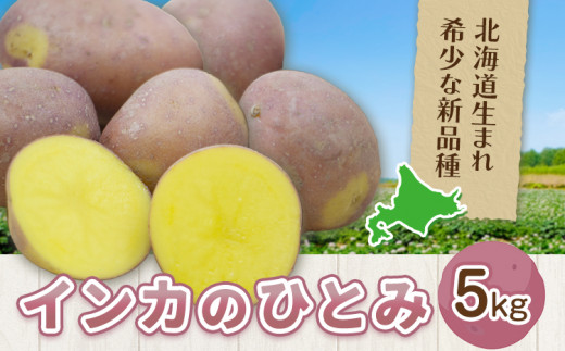 インカのひとみ 5kg じゃがいも 飯山農場《30日以内に出荷予定(土日祝除く)》芋 ジャガイモ 野菜 送料無料 北海道 浦幌町