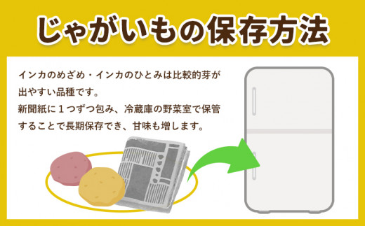 インカのひとみ 5kg じゃがいも 飯山農場《30日以内に出荷予定(土日祝除く)》芋 ジャガイモ 野菜 送料無料 北海道 浦幌町