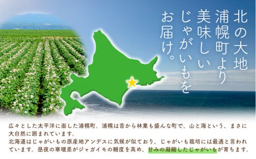 インカのひとみ 5kg じゃがいも 飯山農場《30日以内に出荷予定(土日祝除く)》芋 ジャガイモ 野菜 送料無料 北海道 浦幌町