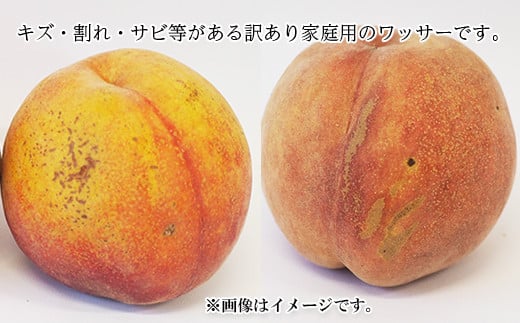 [No.5657-3898]【硬めの桃】訳あり家庭用ワッサー約2.5kg（約3～12玉）《信州グルメ市場》■2024年発送■※7月下旬頃～8月中旬頃まで順次発送予定