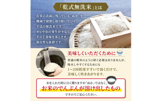  令和6年産   【定期便12回】 熊本県産 ほたるの灯り 無洗米 20kg | 小分け 5kg × 4袋  熊本県産 こめ 米 無洗米 ごはん 銘柄米 ブレンド米 複数原料米 人気 日本遺産 菊池川流域 こめ作り ごはん ふるさと納税 返礼品