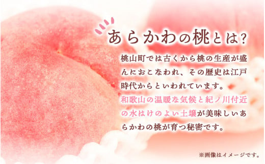 あら川の桃ジャム3本セット（145g×3本） 藤桃庵 《90日以内に出荷予定(土日祝除く)》 和歌山県 紀の川市　桃　モモ