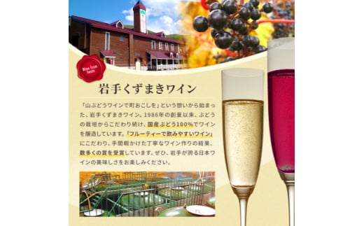 新酒ワイン赤ワイン・白ワイン 飲み比べ2本セット 詰め合わせ　にごりワイン【1469784】