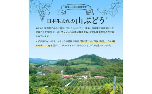 新酒ワイン赤ワイン・白ワイン 飲み比べ2本セット 詰め合わせ　にごりワイン【1469784】