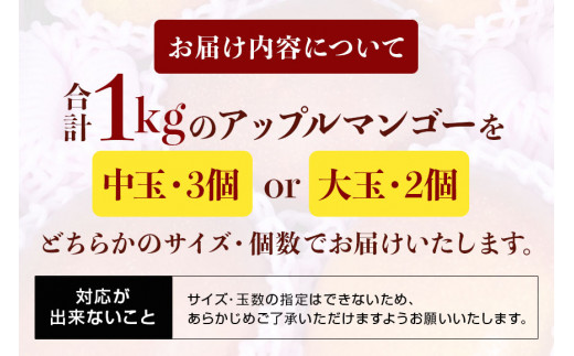 【 先行予約 2025年 発送 】 沖縄県 糸満産の「 濃厚 アップルマンゴー 」1kg オリジナル 贈答用 化粧箱入り 沖縄県産 マンゴー 完熟マンゴー 果物 くだもの フルーツ 完熟 夏 旬 沖縄 産地直送 農家直送 甘い 糸満市  (生産者 ゆいぐくるマンゴー)