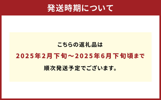 農家の休憩デコ 訳あり（C品 15kg）