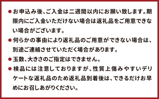 農家の休憩デコ 訳あり（C品 15kg）果物 くだもの フルーツ 柑橘【2025年2月下旬～6月下旬発送】