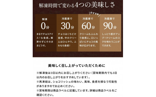 訳あり ショコリッシュ 520g 瀬戸内レモン 約22～25個入り  冷凍 ギフト スイーツ チョコ 生チョコ 大量 大容量 おしゃれ 個包装 チョコレート トリュフ ふくちゃ