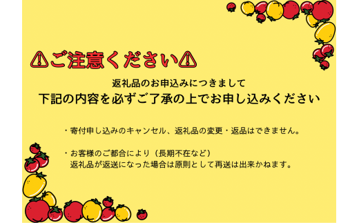 【北海道士別市】（ネオアグリプロジェクト）一度食べたら忘れられない　かあさんのミニトマト（アイコ）2kg