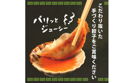 やさしい生餃子 55個 にんにく 不使用 ヘルシー 冷凍 餃子 ぎょうざ 国産野菜 おから 鶏肉 アボカド ヨーグルト 生餃子 ギョウザ ギョーザ 焼き餃子 水餃子 冷凍餃子 惣菜 夜ご飯 おかず 時短 大阪府 松原市