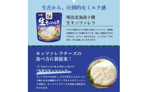 【隔月6回コース定期便】明治北海道十勝チーズ 生モッツァレラ６個 セット 計6回 me003-070-k6c