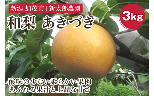 和梨 あきづき 3kg（5～7玉）  《9月下旬から順次発送》 果物 フルーツ 梨 和梨 デザート 加茂市 新太郎農園