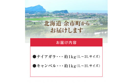 【2024年9月中旬以降発送】フルーツ王国余市産「ナイアガラ・キャンベル」2kg