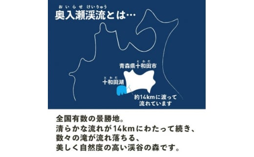 奥入瀬ビール(クラフトビール)飲み比べ4本セット 4種(330ml)各1本【1337761】