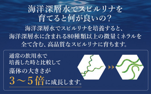 海洋深層水純粋培養スピルリナ100％「不老藻（ふろうそう）」600粒