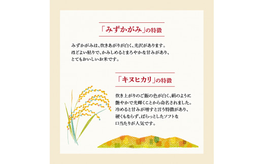 ミルキークイーン 秋の詩 みずかがみ キヌヒカリ 計4kg お肉に合う湖華舞米  焼肉・ステーキに合うお米 と しゃぶしゃぶ・すき焼きに合うお米  精米 ブレンド米