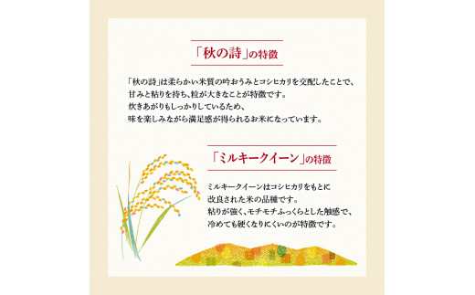 ミルキークイーン 秋の詩 みずかがみ キヌヒカリ 計4kg お肉に合う湖華舞米  焼肉・ステーキに合うお米 と しゃぶしゃぶ・すき焼きに合うお米  精米 ブレンド米