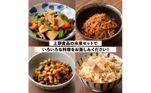 たけのこ・れんこん・大豆の水煮(合計10袋)国産 九州産 筍 水煮 蓮根 野菜 使い切り 小分け 個包装【上野食品】a-12-200-z