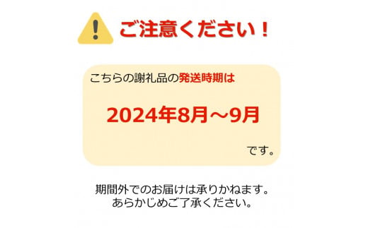 【2024年8月～9月発送分先行受付】「秀品」山形県産 桃（品種おまかせ）約3kg_H174(R6)