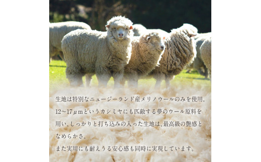 大人の遊び心 加古川仕上げ最高級ウール織物で仕立てるオーダーデニム《 仕立券 チケット オーダーメイド デニムボトム ズボン パンツ ジーンズ シーパン 高級 》【2423Q12303】