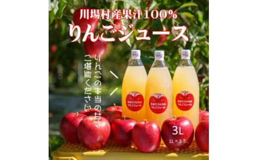 ＜川場村直送＞ストレートりんごジュース1000ml×3本入り【1492868】