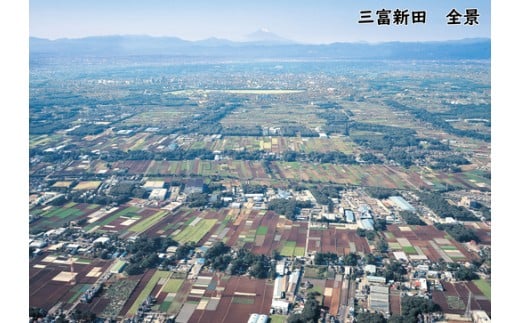 富の紅赤OIMOほっこりリキュールと富の川越いもセット