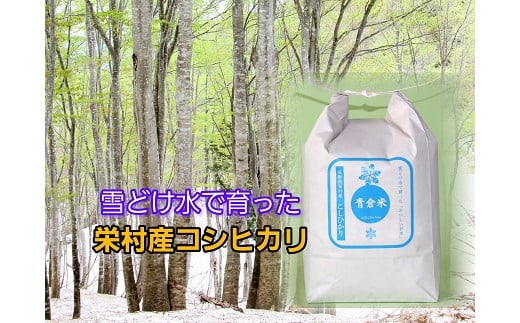 長野県栄村産コシヒカリ「青倉米」白米3kg（令和6年産）