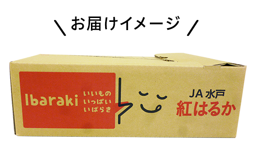 5kg×1箱でお届けします♪