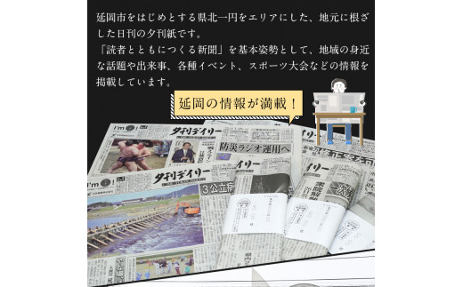 【3か月定期便】夕刊デイリー新聞 N0108-YZC048