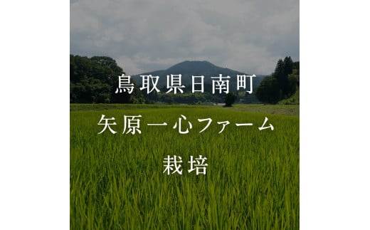 【新米・予約】令和6年産 矢原一心ファーム 特別栽培米 コシヒカリ 5kg 米 お米 おこめ 鳥取県日南町 こしひかり 特別栽培